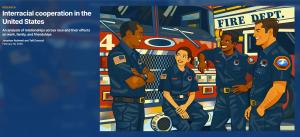 brookings report cover