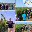 Horizon Specialty Seeds and Verve Seed Solutions Partner to Advance Certified Industrial Hemp Seed Genetics in the U.S. 