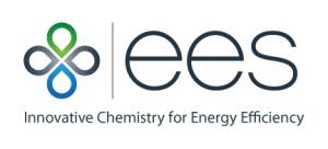 EES Showcases Next-Gen SCR DeNOx Technology for AI-Powered Data Centers and Industrial Energy Systems