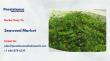 Seaweed Market to Grow from $10.3B in 2026 to $19.7B by 2033, Driven by Food Demand