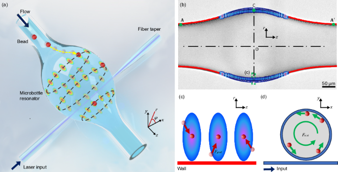 When geometry matters: Gradient-wall microresonators enable large-scale optical trapping