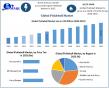 Pickleball Market to Reach USD 3.50 Billion by 2032 at 10.2% CAGR: Maximize Market Research
