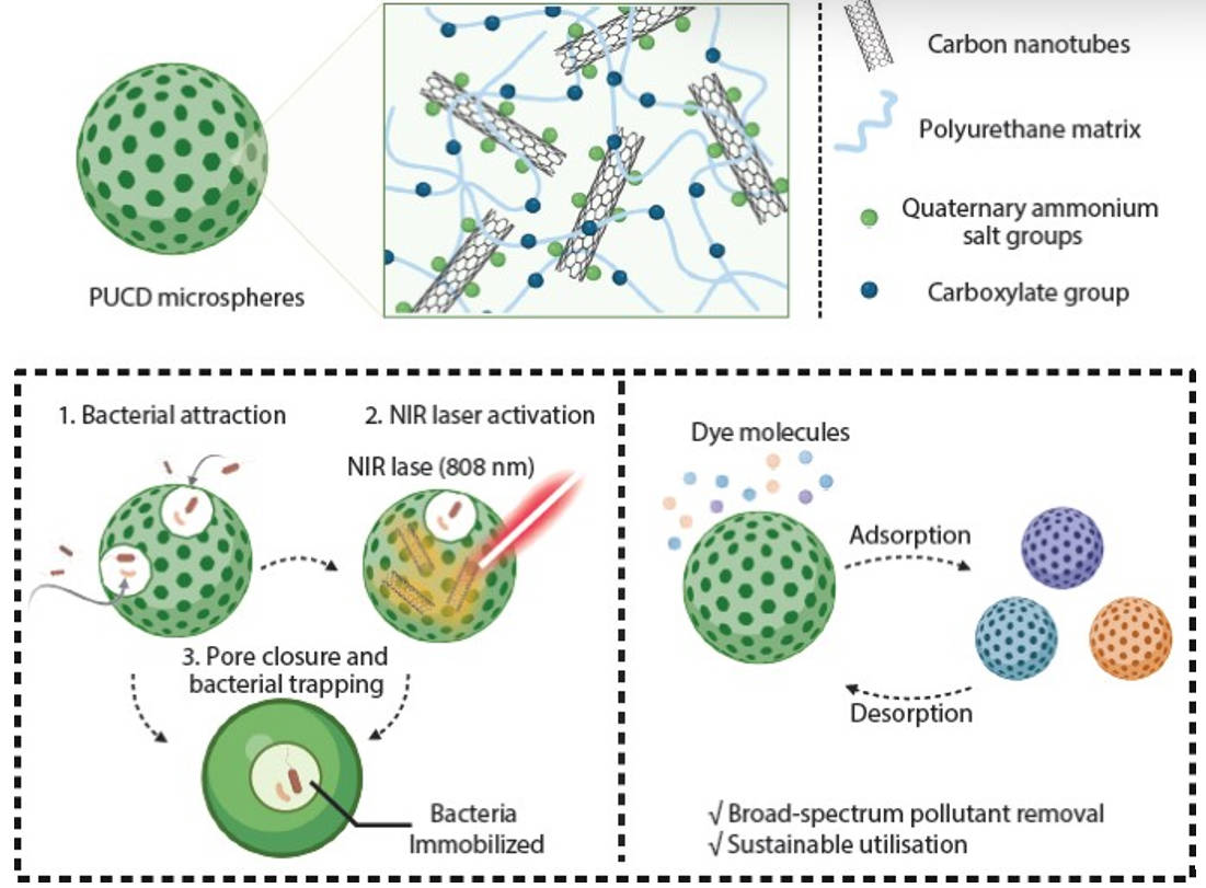Smart microspheres clean hospital wastewater on two fronts