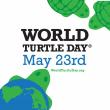 WORLD TURTLE DAY ON MAY 23 ‘SHELLEBRATES’ 26 YEARS AS TURTLES FACE A TIPPING POINT