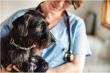  Sasha’s Pet Resort Endorses National Pet Vaccination Month of March in the US and UK