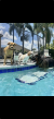  Miramar Pet Boarding Facility Hits 165 Five-Star Reviews — Pet Parents Say It's Nothing Like a Kennel