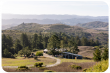 DJERASSI WELCOMES CRAIG ADAMS AS NEW EXECUTIVE DIRECTOR