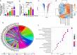 From gut to lung: A microbial signal that strengthens early immune defense