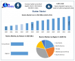 Global Raisins Market size to Surpass USD 5.84 Billion by 2032, Shows New Maximize Market Research Analysis