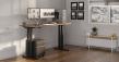 iMovR Launches New P1 Elite™ Series Ergonomic Standing Desks for Executive and Professionals