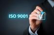 ISO 9001 Consulting Firms Report U.S. Businesses Leave Money on the Table-$6 Revenue per $1 Spent on Quality Management