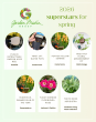Garden Media Group's 2026 Superstars for Spring Reveals New Products and Plants for This Season