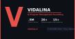 VIDALINA Launches as Dedicated AI Program Management Consulting Firm