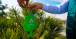 Engelberg Brand Plants Around 2,000 Trees in Tashkent as Part of Urban Greening Initiative