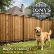 Dog Fences That Stop Digging and Jumping: Louisiana Fence Experts Explain What Works