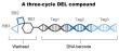 DNA Encoded Library Market to Reach US$726.2 Mn by 2033 | Persistence Market Research