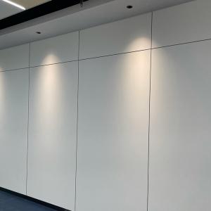 Eb-Cured Decorative Wall Panels From China 3