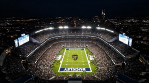 Game On! David Buckley Law Offices