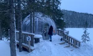 Luxury PC Glamping Pods