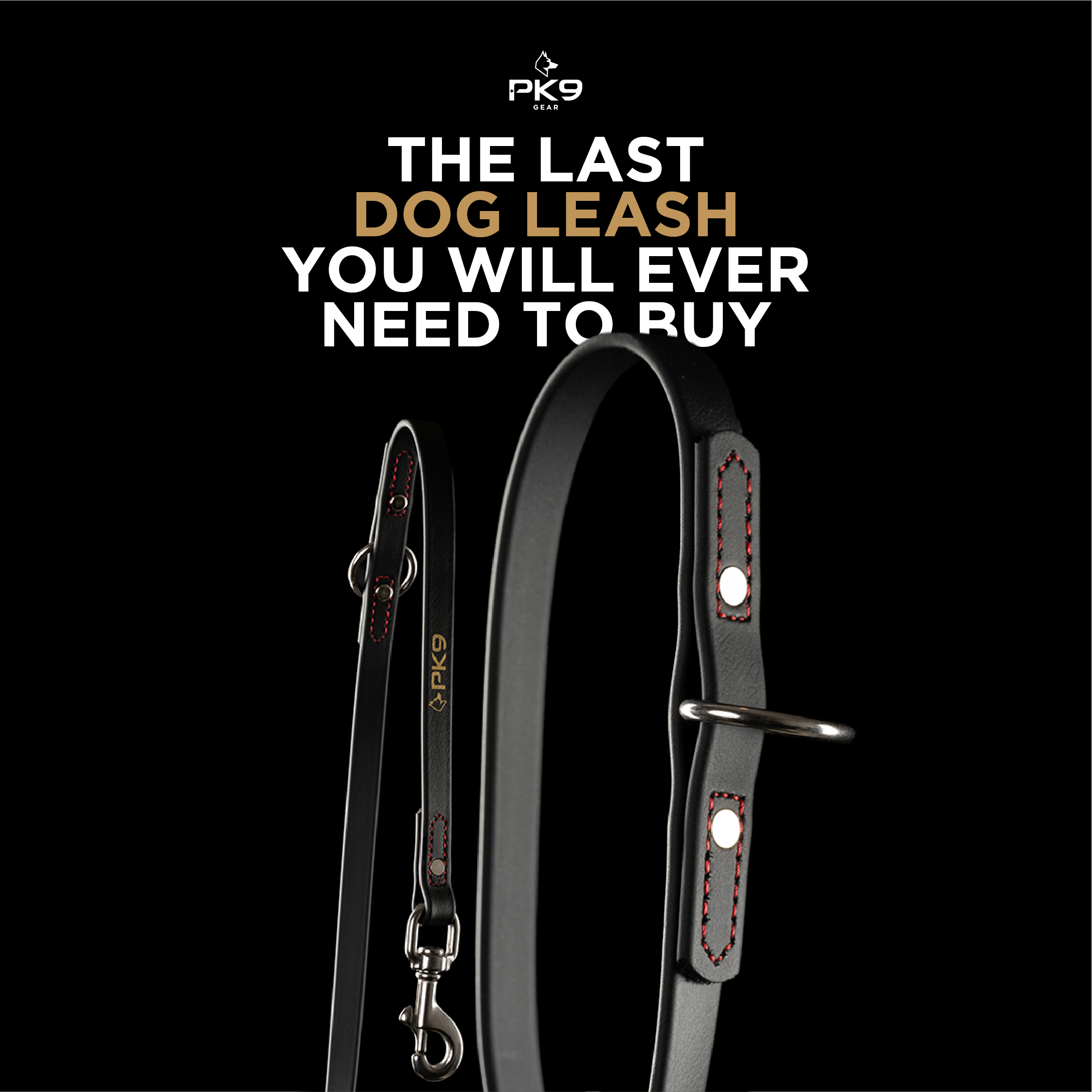 Australian Dog Trainer Redefines Luxury Pet Gear With Old-World Craft