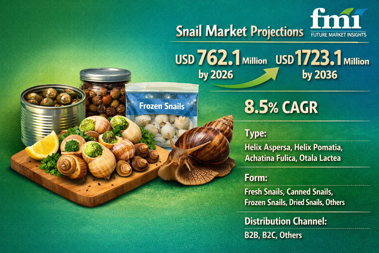 Snail Market Forecast 2026-2036: Global Market to Reach USD 1723.1 Million by 2036 at 8.5% CAGR