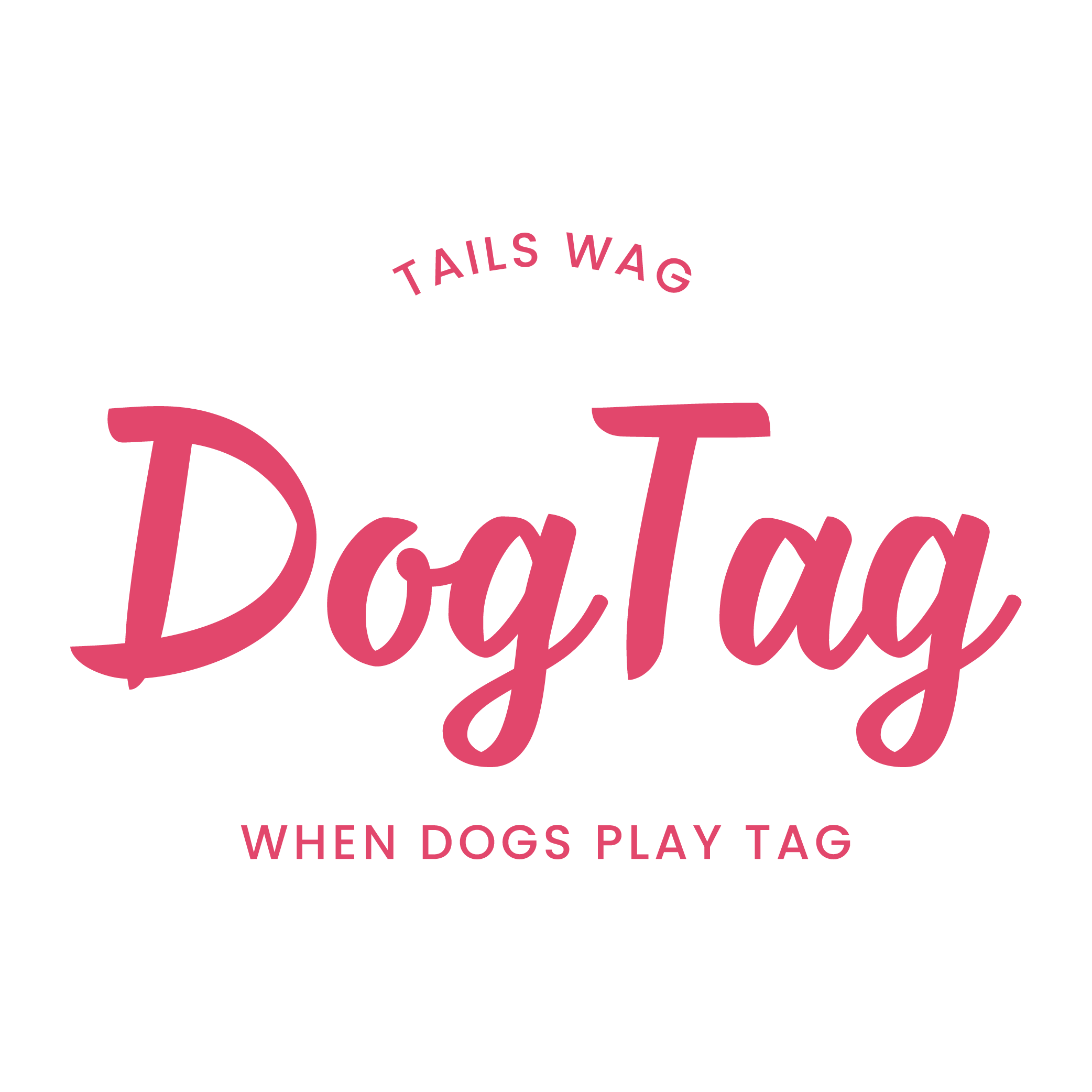 DogTag Dog Daycare Outlines Weekday Hours, Evaluation Process and Boarding Services in Superior, Colorado