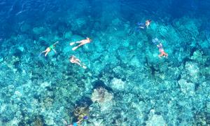 Centara Hotels and Resorts Maldives