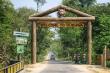 International Forest Day: Uttar Pradesh Pushes Eco-Tourism, Boosts Dudhwa Infrastructure