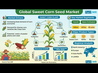 Sweet Corn Seeds Market Forecast 2026-2036: Projected to Reach USD 2.8 billion by 2035 at 4.5% CAGR