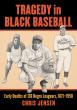 A Powerful Historical Work Honors the Lives and Losses of Negro League Baseball Figures