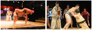 An Up-Close and Accessible Way to Experience Sumo