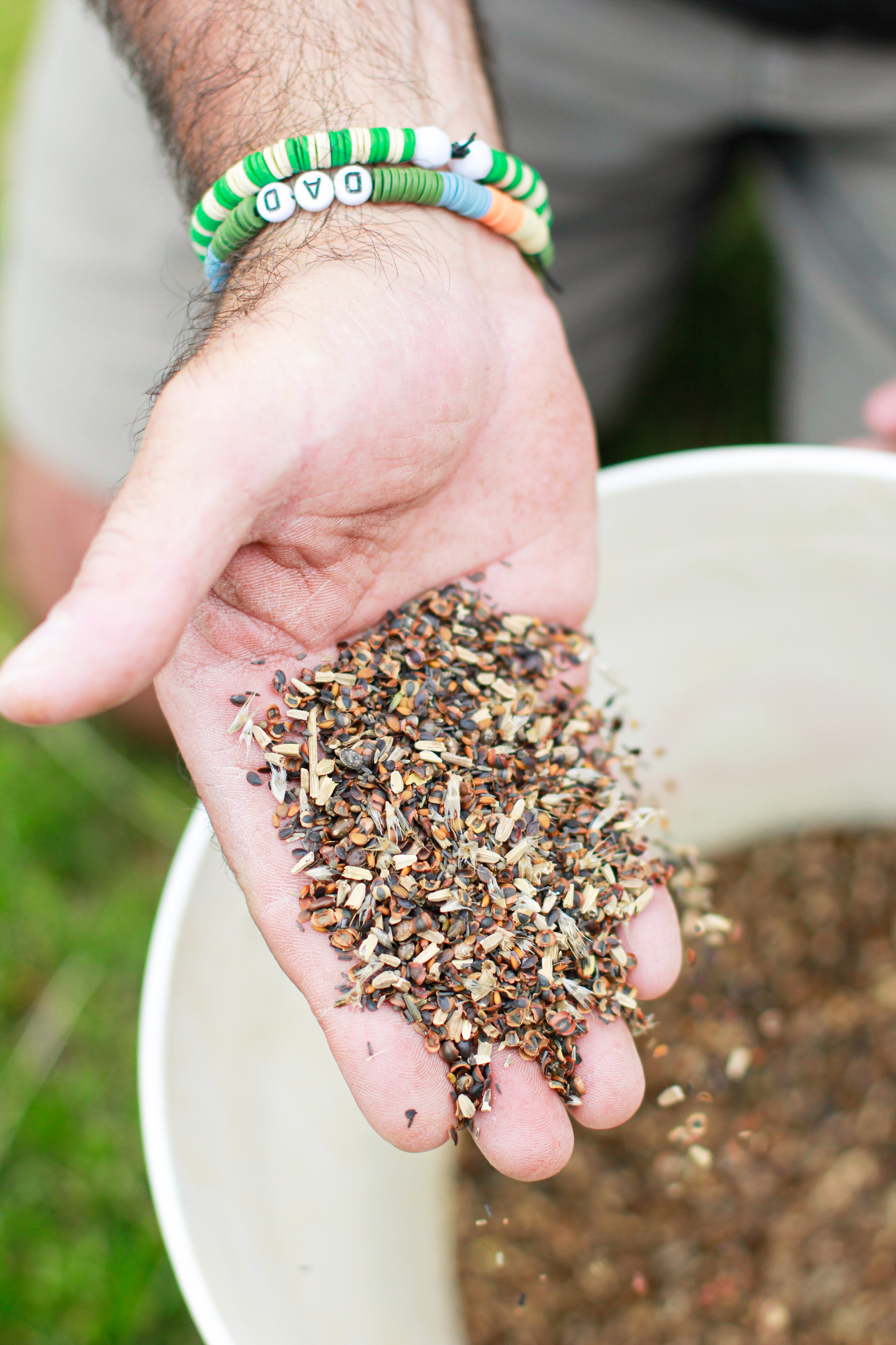 Best Wildflowers to Plant in Spring: Fast-Blooming Picks for Color and Pollinator Support
