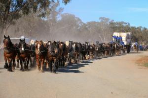 Barellan Record Team