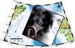 Satellite radar captures hidden dynamics of arctic eddies