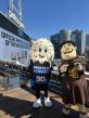 Protein Pints Steps Up to the Plate as the Official Protein Ice Cream of the San Diego Padres