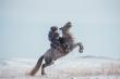 New Mongolian Winter Wildlife Watching Tour for Nature Lovers and Photographers