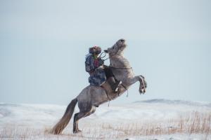 For Singaporean travellers who have exhausted the usual bucket-list destinations, Mongolia offers something genuinely different: vast, silent, and teeming with wildlife that exists nowhere else on Earth Mongolian horses as seen during Mongolia tours