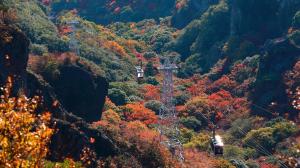 260326ANA__US_pic5 v4