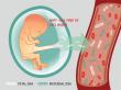 Cell-Free Fetal DNA Testing Market to Reach US$ 3.5 Bn by 2033 | Persistence Market Research