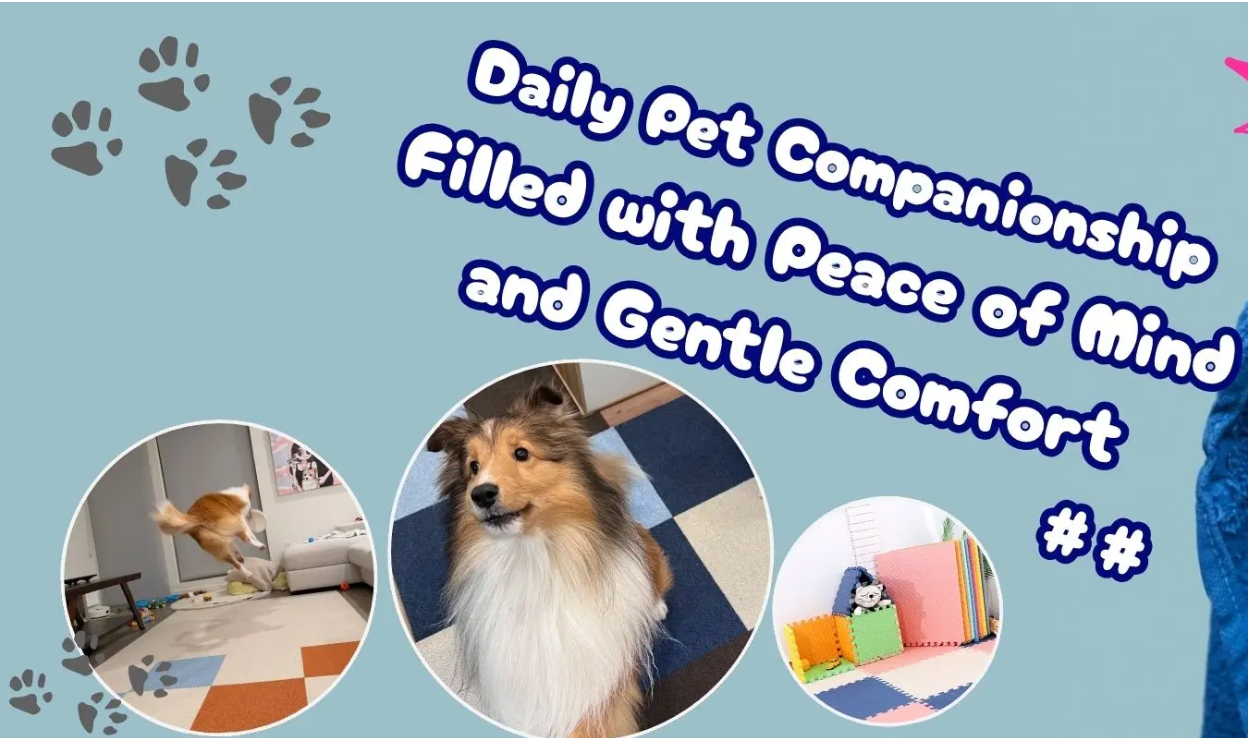 New Daily Pet Companionship Solutions Aim to Reduce Anxiety and Enhance Home Comfort