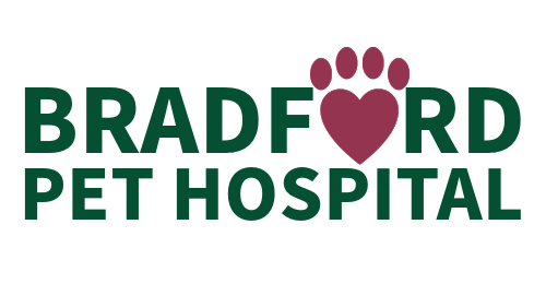 Bradford Pet Hospital Offers Dedicated Cat-Friendly Care with Separate Entrance and Exam Room in Olathe