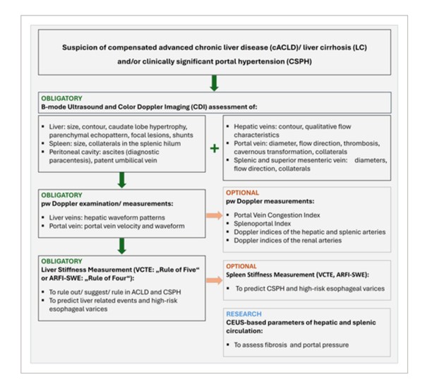 Chinese Medical Association Publishing House Co., Ltd Sheds Light on New Noninvasive Clues to Detect Portal Hypertension