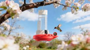 With spring waking up the land, hummingbirds — the world's smallest bird species and magnificent avian friends with iridescent feathers — are now on their way back to North America Birdfy smart feeders with cameras capture every shimmer of hummingbirds.