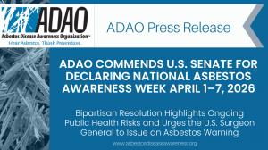 24820217 2026 adao aaw res