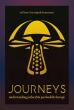 ‘Journeys’ Explores the Transformative Power of Psychedelic Therapy Through Intimate Human Stories