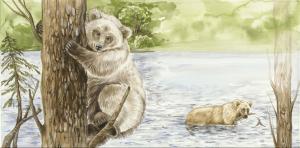 The Adventures of Jolly, the Alaskan Bear Illustration