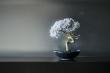 Park Hotel Tokyo Installs 'WITHERS TAIZAN BONSAI', a Recycled Art Piece Redefining the Traditional Bonsai Tree