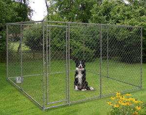 dog kennel