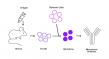 Monoclonal Antibodies Market Growing at 12.9% CAGR Through 2033 | Persistence Market Research