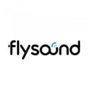 logo for flysound